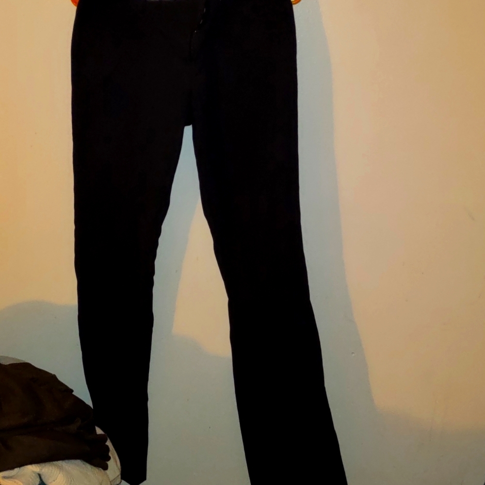 Dress pants